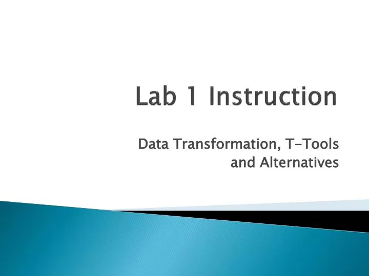 lab 1 instruction