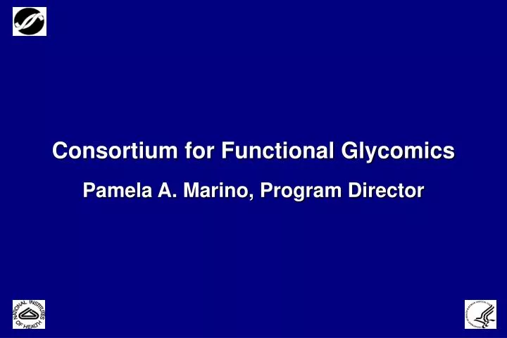 consortium for functional glycomics pamela a marino program director