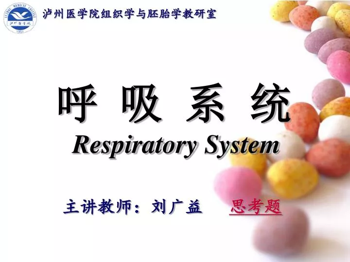 respiratory system