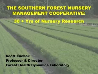 THE SOUTHERN FOREST NURSERY MANAGEMENT COOPERATIVE: 30 + Yrs of Nursery Research Scott Enebak