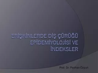 prof dr perihan zyurt