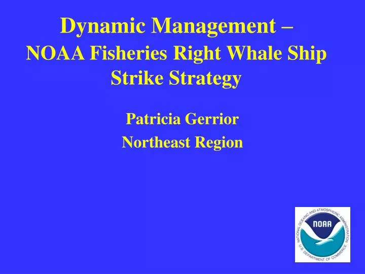 dynamic management noaa fisheries right whale ship strike strategy