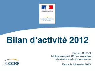 bilan d activit 2012