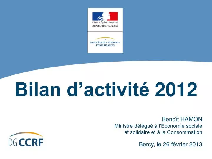 bilan d activit 2012