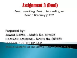 Assignment 3 (Dual)