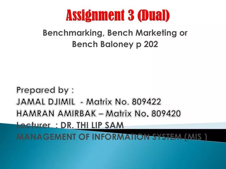assignment 3 dual