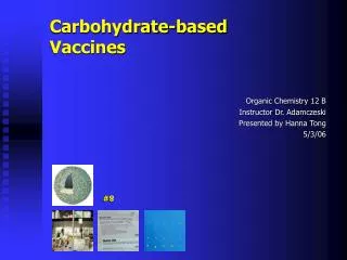 Carbohydrate-based Vaccines