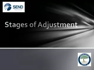 Stages of Adjustment