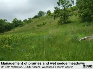 Management of prairies and wet sedge meadows