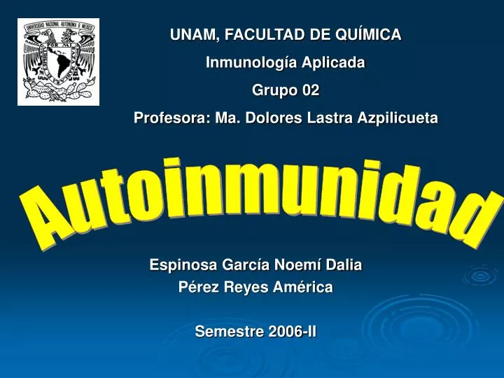 espinosa garc a noem dalia p rez reyes am rica semestre 2006 ii