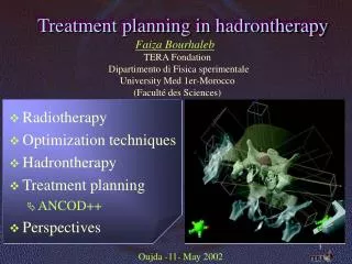 Treatment planning in hadrontherapy