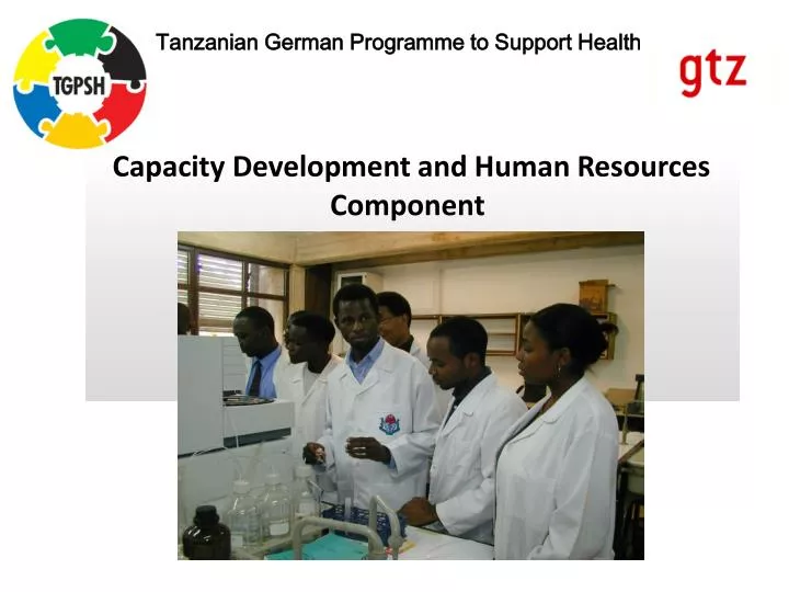 capacity development and human resources component