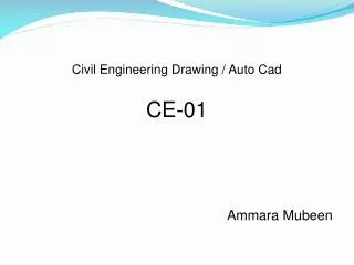 Civil Engineering Drawing / Auto Cad CE-01 Ammara Mubeen
