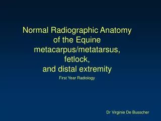 Normal Radiographic Anatomy of the Equine metacarpus/metatarsus, fetlock, and distal extremity
