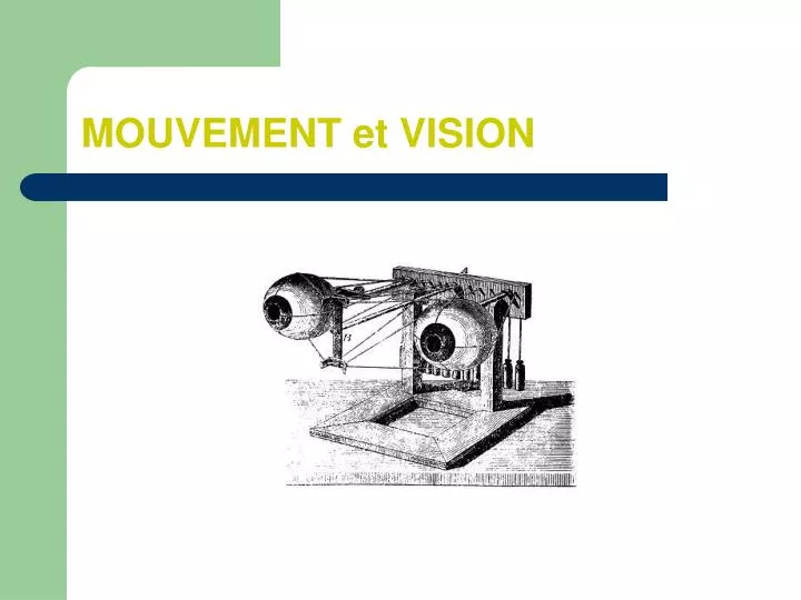 mouvement et vision