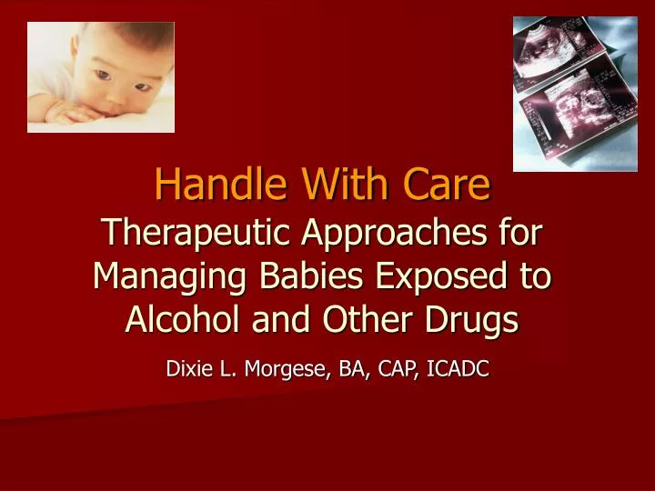 handle with care therapeutic approaches for managing babies exposed to alcohol and other drugs