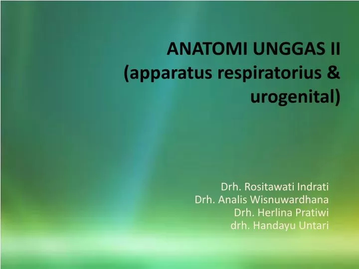 anatomi unggas ii apparatus respiratorius urogenital