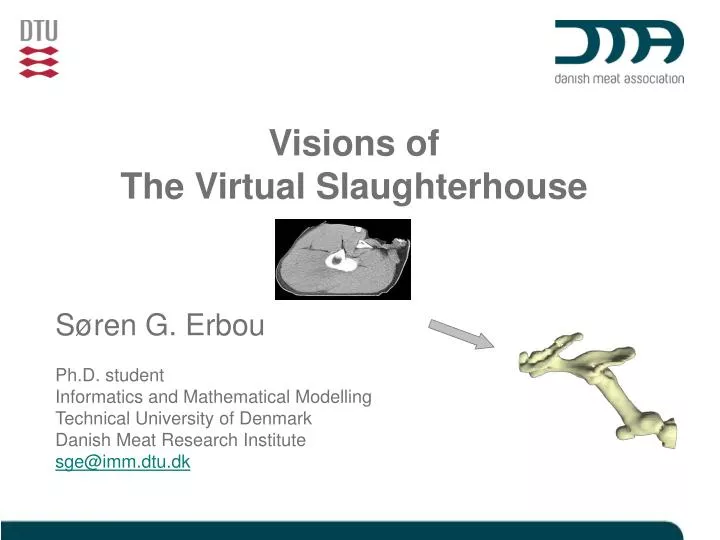 visions of the virtual slaughterhouse