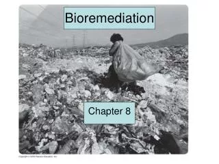 Bioremediation