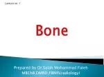 Bone - slide 1