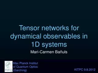 Tensor networks for dynamical observables in 1D systems