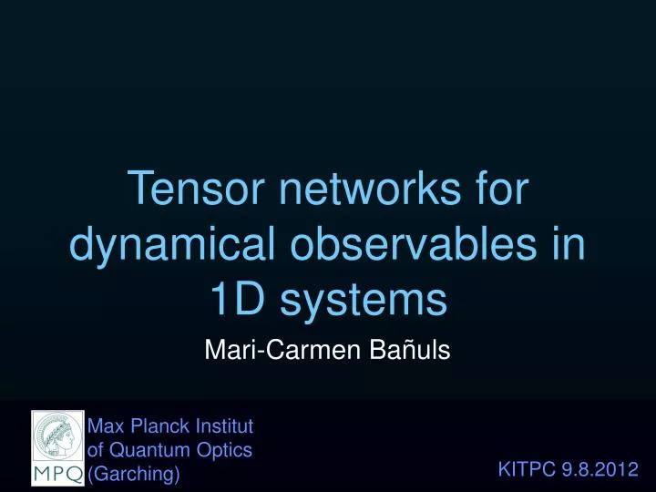 tensor networks for dynamical observables in 1d systems