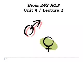 Bio&amp; 242 A&amp;P Unit 4 / Lecture 2