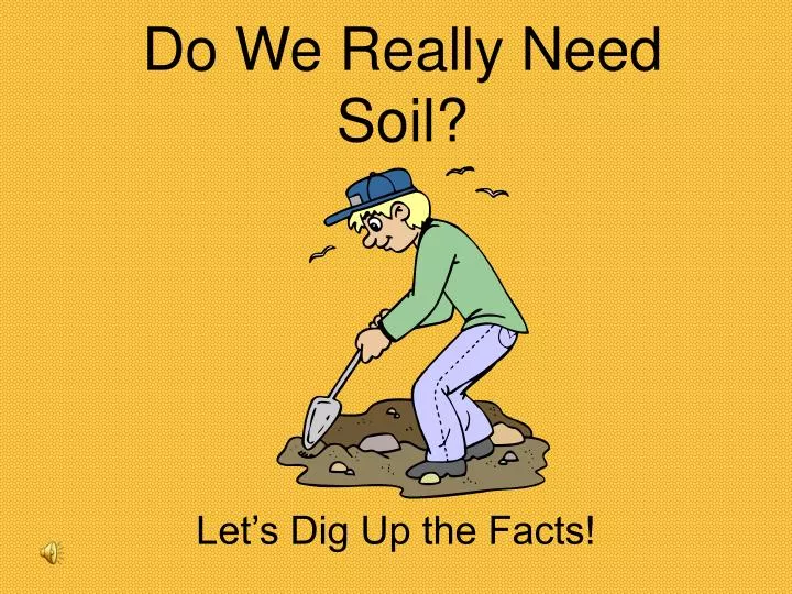 do we really need soil