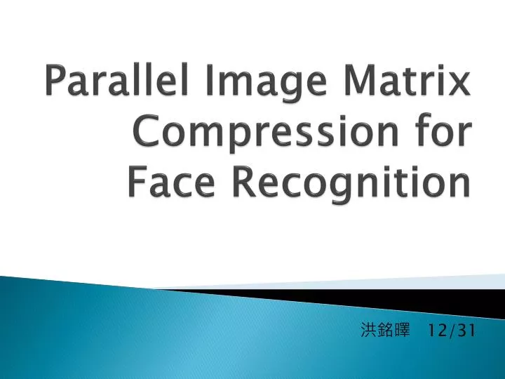 parallel image matrix compression for face recognition