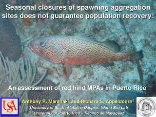 Seasonal closures of spawning aggregation sites does not guarantee population recovery: