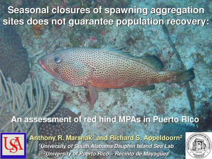 seasonal closures of spawning aggregation sites does not guarantee population recovery