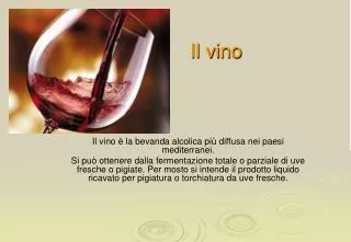 il vino