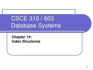 CSCE 310 / 603 Database Systems