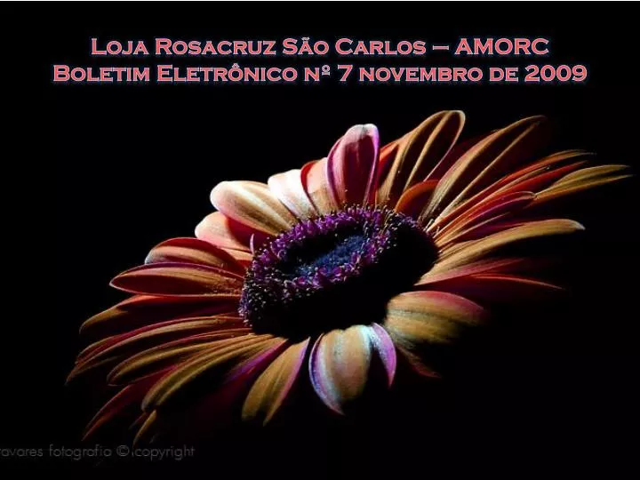 loja rosacruz s o carlos amorc boletim eletr nico n 7 novembro de 2009