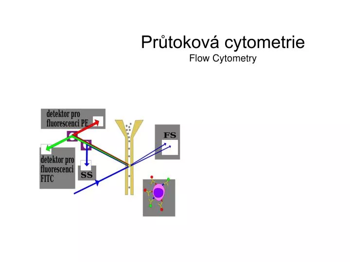 pr tokov cytometrie flow cytometry