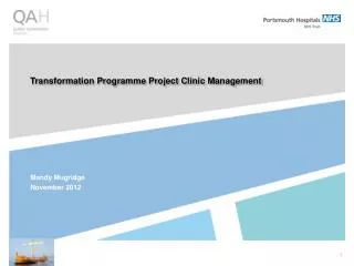 Transformation Programme Project Clinic Management