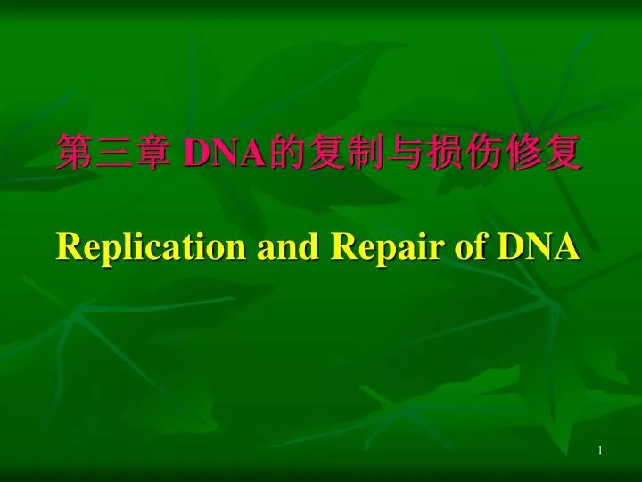 dna replication and repair of dna