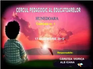 17 noiembrie 2010