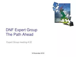 DNF Expert Group The Path Ahead