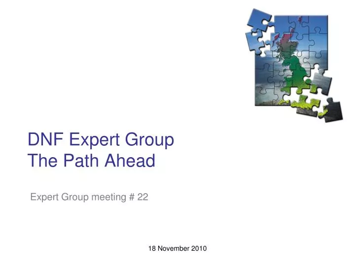 dnf expert group the path ahead