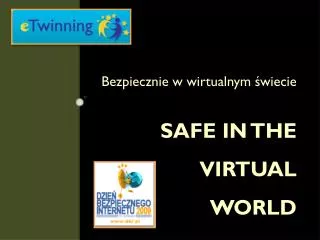 safe in the virtual world