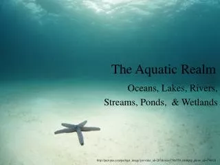 The Aquatic Realm