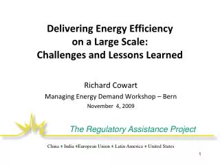 Delivering Energy Efficiency on a Large Scale: Challenges and Lessons Learned