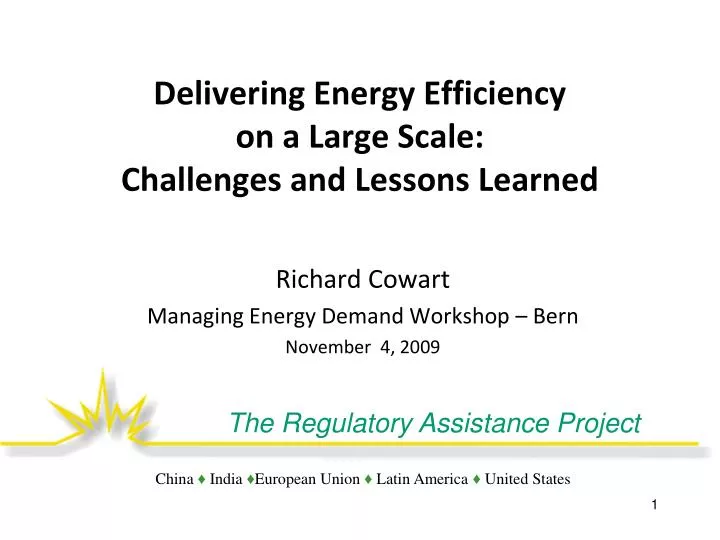 delivering energy efficiency on a large scale challenges and lessons learned