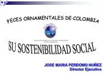 JOSE MARIA PERDOMO NUÑEZ Director Ejecutivo - slide 1