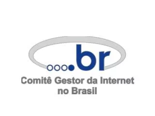 BRAZILIAN INTERNET GOVERNANCE MODEL