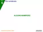 ELS MONOTREMES - slide 1