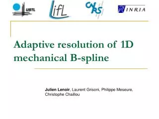 Adaptive resolution of 1D mechanical B-spline