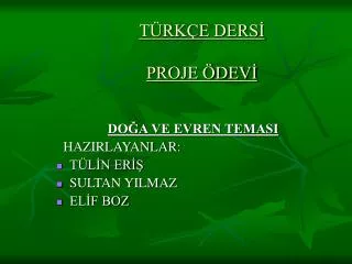 t rk e ders proje dev