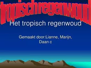 het tropisch regenwoud